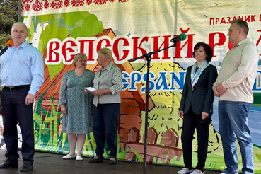 Родник вепсской культуры