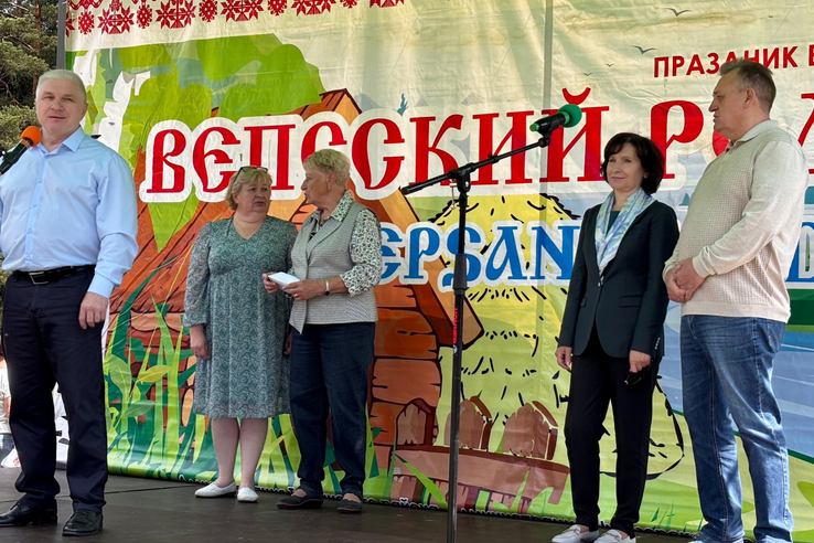 Родник вепсской культуры