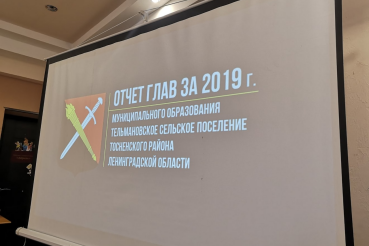 Годовой отчет за 2019 год в Тельмановском сельском поселении