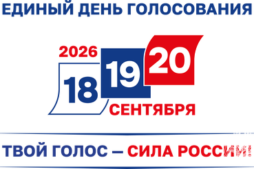 Все на выборы!